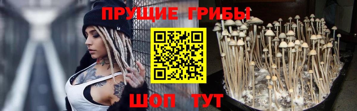 Псилоцибиновые грибы Psilocybe  Вход с VPN  Воскресенск 